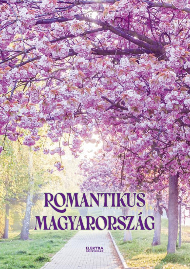 Könyv Romantikus Magyarország