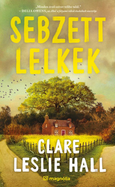 Könyv Sebzett lelkek (Clare Leslie Hall)