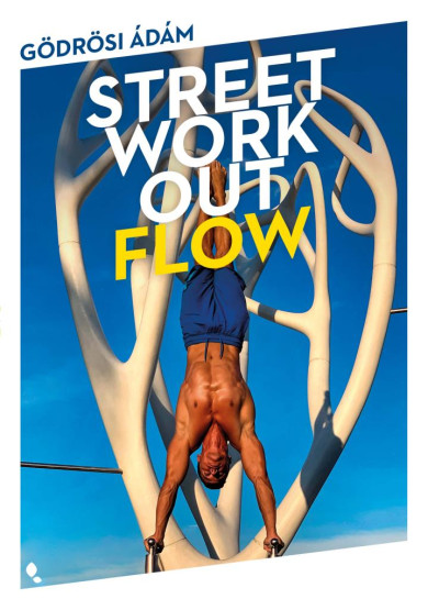 Könyv Street workout flow (Gödrösi Ádám)