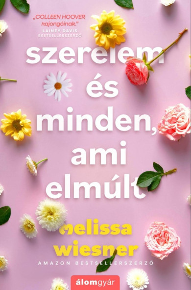 Könyv Szerelem és minden, ami elmúlt (Melissa Wiesner)