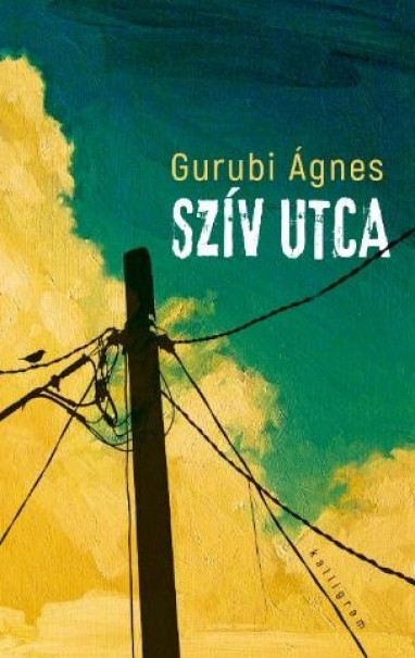 Könyv Szív utca - 4. kiadás (Gurubi Ágnes)