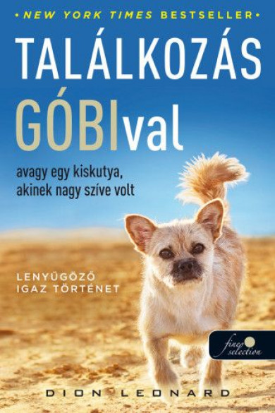 Könyv Találkozás Góbival, avagy egy kiskutya, akinek nagy szíve volt (Dion L