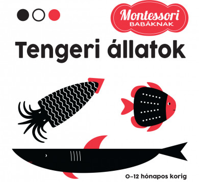 Könyv Tengeri állatok - Montessori babáknak