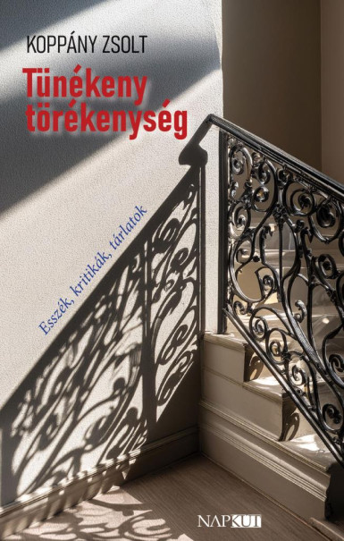 Könyv Tünékeny törékenység (Koppány Zsolt)