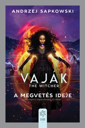 Könyv Witcher: Vaják IV. - A megvetés ideje (Andrzej Sapkowski)