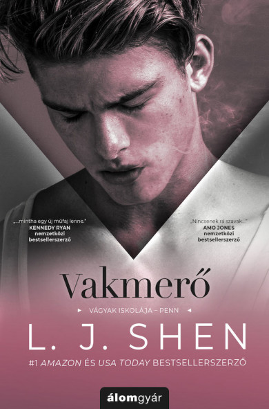 Könyv Vakmerő (L. J. Shen)