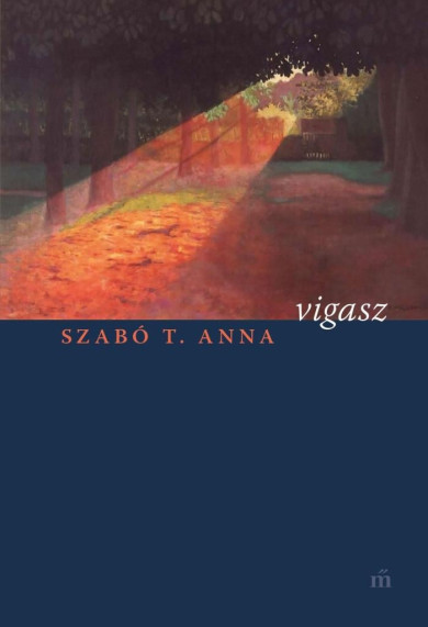 Könyv Vigasz (Szabó T. Anna)