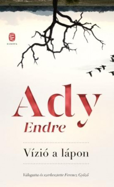 Könyv Vízió a lápon (Ady Endre)