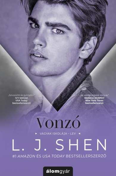 Könyv Vonzó - Vágyak iskolája 4. (L. J. Shen)