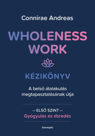 Könyv Wholeness Work - Kézikönyv (Connirae Andreas)